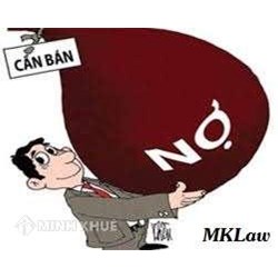 Tư vấn khởi kiện người nước ngoài đòi nợ người Việt Nam ?