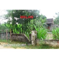Tư vấn lấy lại đất mà không có GCNQSDD ?