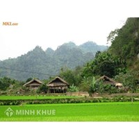 Bố mẹ chuyển nhượng đất cho con thì có phải nộp thuế đất ?