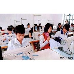 Tư vấn pháp luật về đào tạo lao động ?