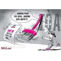 Tư vấn đòi lại nhà đất đã bán cho con rể?