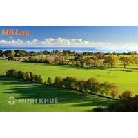 Tư vấn đòi lại đất cho mượn không chịu trả ?