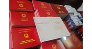 Bồi thường của công ty về việc làm mất bằng Đại học của nhân viên?