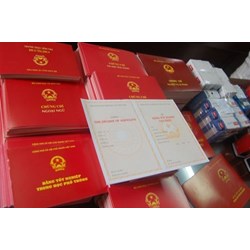 Bồi thường của công ty về việc làm mất bằng Đại học của nhân viên?