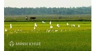Thủ tục chuyển đổi đất nông nghiệp sang đất xây nhà ở?