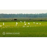 Thủ tục chuyển đổi đất nông nghiệp sang đất xây nhà ở?