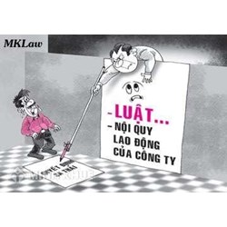 Tư vấn trường hợp kỷ luật buộc thôi việc người lao động ?