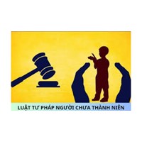Tư pháp cho người chưa thành niên là gì?
