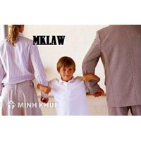 Tư vấn cách giành lại quyền nuôi con khi người kia chăm sóc không tốt ?