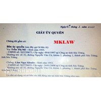 Có được ủy quyền cho trưởng phòng về ký kết các lĩnh vực liên quan?