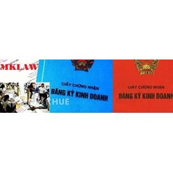 Tư vấn đăng ký kinh doanh cho dược sĩ chuyên môn ?