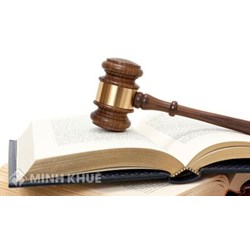 Tư vấn về pháp luật đấu thầu ?