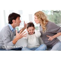 Tư vấn về quyền nuôi con khi vợ có dấu hiệu tâm thần ?