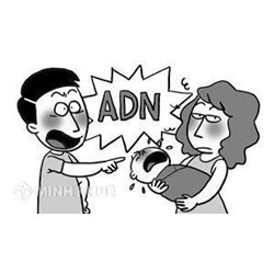 Xét nghiệm ADN không phải là con ruột, có được kiện đòi bồi thường?