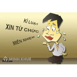 Tư vấn về kỷ luật lao động trong công ty ?