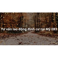 Tư vấn về Lao động định cư Mỹ EB3 ?