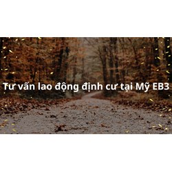 Tư vấn về Lao động định cư Mỹ EB3 ?