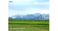 Tư vấn trường hợp có đường dây điện thoại đi qua phần đất ở?