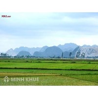 Tư vấn trường hợp có đường dây điện thoại đi qua phần đất ở?