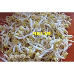 Kinh doanh đậu mầm, rau giá có cần đăng ký giấy phép kinh doanh hay không ?