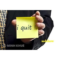 Công ty vi phạm trách nhiệm về sổ bảo hiểm xã hội cho người lao động ?