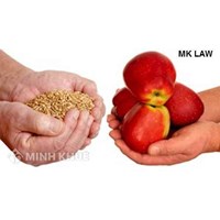 Có phải đăng ký quyền nhập, xuất khẩu, phân phối theo Thông tư 08/2013/TT-BCT không ?