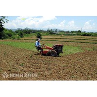 Làm thế nào để lấy lại ruộng đã đổi?