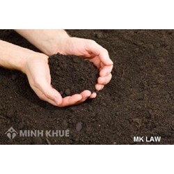 Chính quyền có được phép chia mảnh đất của em ra nhiều mảnh để bán ?