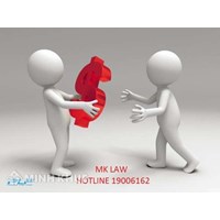 Hoàn thuế thu nhập cá nhân cho công dân nước ngoài làm việc tại Việt Nam?