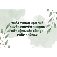 Thỏa thuận hạn chế quyền chuyển nhượng bất động sản có hợp pháp không?