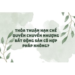 Thỏa thuận hạn chế quyền chuyển nhượng bất động sản có hợp pháp không?