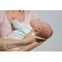 Mẫu đơn xin hưởng chế độ thai sản mới nhất cho mọi đối tượng