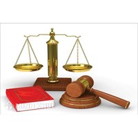 Mẫu phiếu đề nghị mượn hồ sơ, tài liệu mới nhất