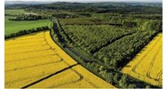 Quy định về cho thuê đất công ích của xã mới nhất