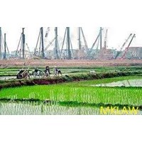 Trình tự, thủ tục chuyển mục đích sử dụng đất ? Mức thuế phải nộp khi chuyển mục đích sử dụng đất ?