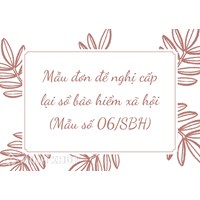 Mẫu đơn đề nghị cấp lại sổ bảo hiểm xã hội (Mẫu số 06/SBH)