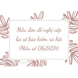 Mẫu đơn đề nghị cấp lại sổ bảo hiểm xã hội (Mẫu số 06/SBH)