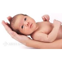 Mẫu đơn xin nhận con nuôi mới hiện nay ? Hồ sơ đăng ký nuôi con nuôi gồm những giấy tờ gì ?