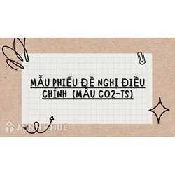 Mẫu phiếu đề nghị điều chỉnh  (Mẫu C02-TS)