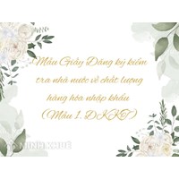 Mẫu Giấy Đăng ký kiểm tra nhà nước về chất lượng hàng hóa nhập khẩu (Mẫu 1. ĐKKT)