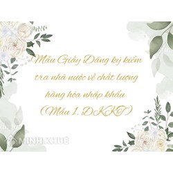Mẫu Giấy Đăng ký kiểm tra nhà nước về chất lượng hàng hóa nhập khẩu (Mẫu 1. ĐKKT)