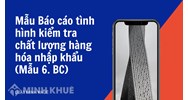 Mẫu Báo cáo tình hình kiểm tra chất lượng hàng hóa nhập khẩu (Mẫu 6. BC)