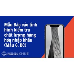 Mẫu Báo cáo tình hình kiểm tra chất lượng hàng hóa nhập khẩu (Mẫu 6. BC)