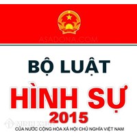 Bộ luật Hình sự quy định nguyên tắc xử lý đổi với người chưa thành niên phạm tội như thế nào ?