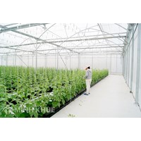 Mẫu danh sách các thửa đất nông nghiệp của cùng một người sử dụng, người được giao quản lý đất (Mẫu số 04c/ĐK)