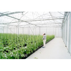 Mẫu danh sách các thửa đất nông nghiệp của cùng một người sử dụng, người được giao quản lý đất (Mẫu số 04c/ĐK)