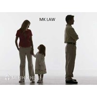 Tư vấn cách viết đơn ly hôn ? Phân chia tài sản, nghĩa vụ trả nợ