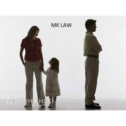 Tư vấn cách viết đơn ly hôn ? Phân chia tài sản, nghĩa vụ trả nợ