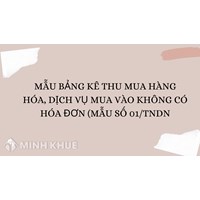 Mẫu bảng kê thu mua hàng hóa, dịch vụ mua vào không có hóa đơn (Mẫu số 01/TNDN)