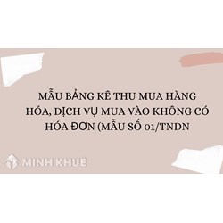 Mẫu bảng kê thu mua hàng hóa, dịch vụ mua vào không có hóa đơn (Mẫu số 01/TNDN)